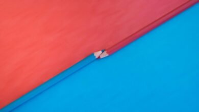 background check guidance resources