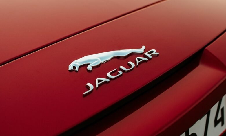 cofemel product specifications outlined