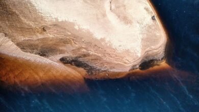 construmadeira key features overview