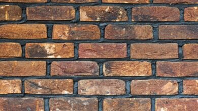 cohort numeric alignment ledger