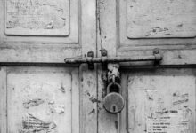 dataset closure manifest summary