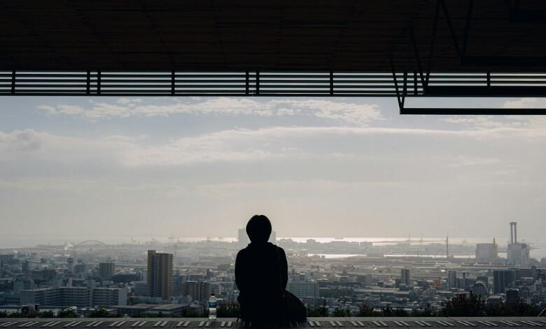 identifier linkage system overview