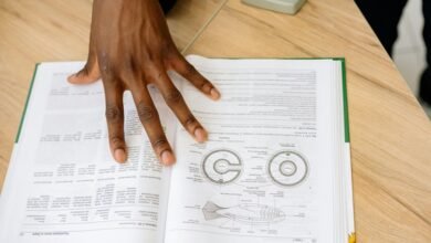 numeric integrity cross reference brief