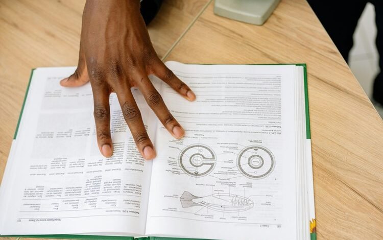 numeric integrity cross reference brief