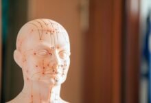 numeric reference assimilation brief