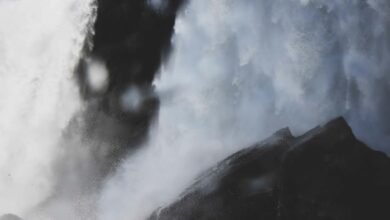 numeric stream continuity report