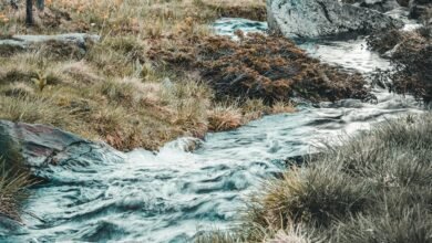 numeric stream harmonisation details