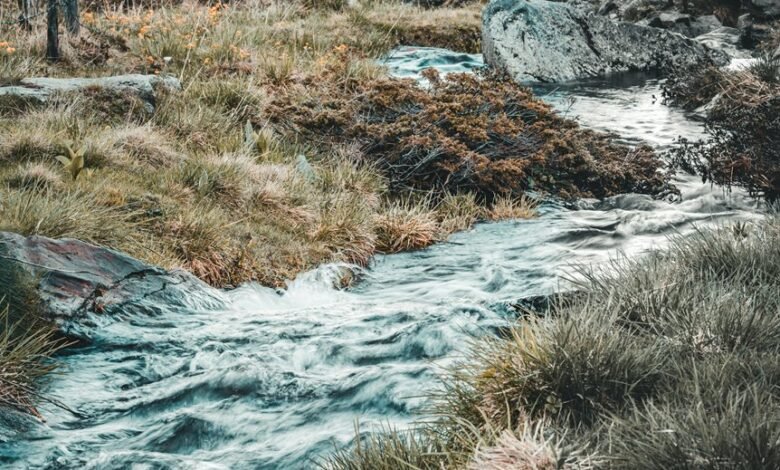 numeric stream harmonisation details