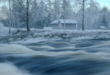 reference stream consolidation process