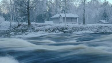 reference stream consolidation process