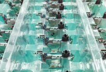 apex momentum neural node