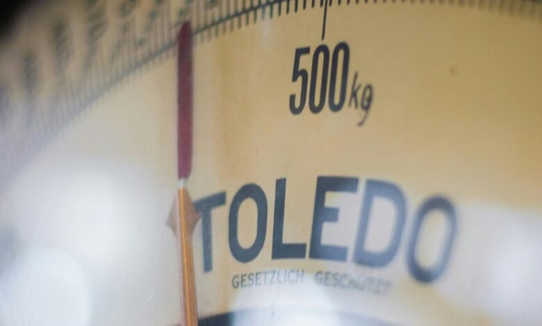 industry growth analysis focus