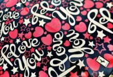 stellar cyber core vector