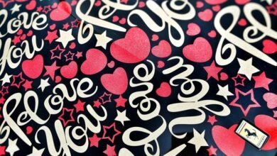 stellar cyber core vector