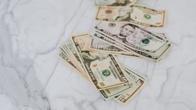 stellar profit flow orbit