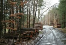 user activity monitoring logs