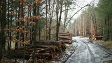 user activity monitoring logs