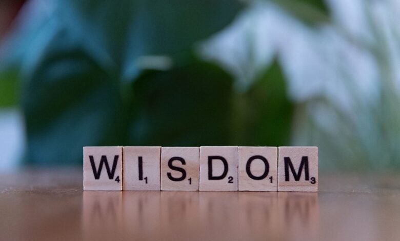 top reasons ioprado25 learning