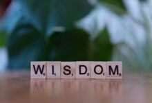 top reasons learn 3855463073