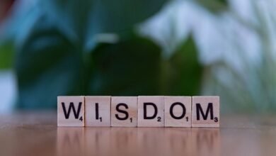 top reasons to learn about asuktworks