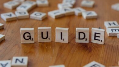what is 4233267442 guide for beginners